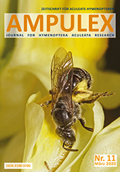 Ampulex 11 Cover