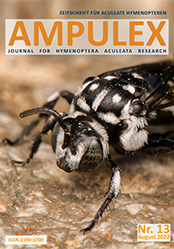 Ampulex 13 Cover
