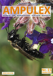 Ampulex 15 Cover