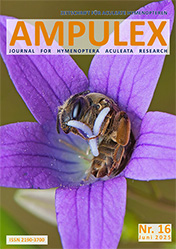 Ampulex 16 Cover