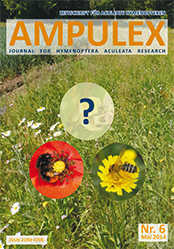 Ampulex 6 Cover