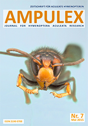 Ampulex 7 Cover